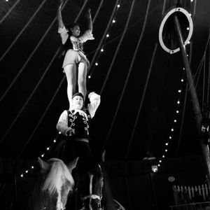 Meet your Posher, Tosca